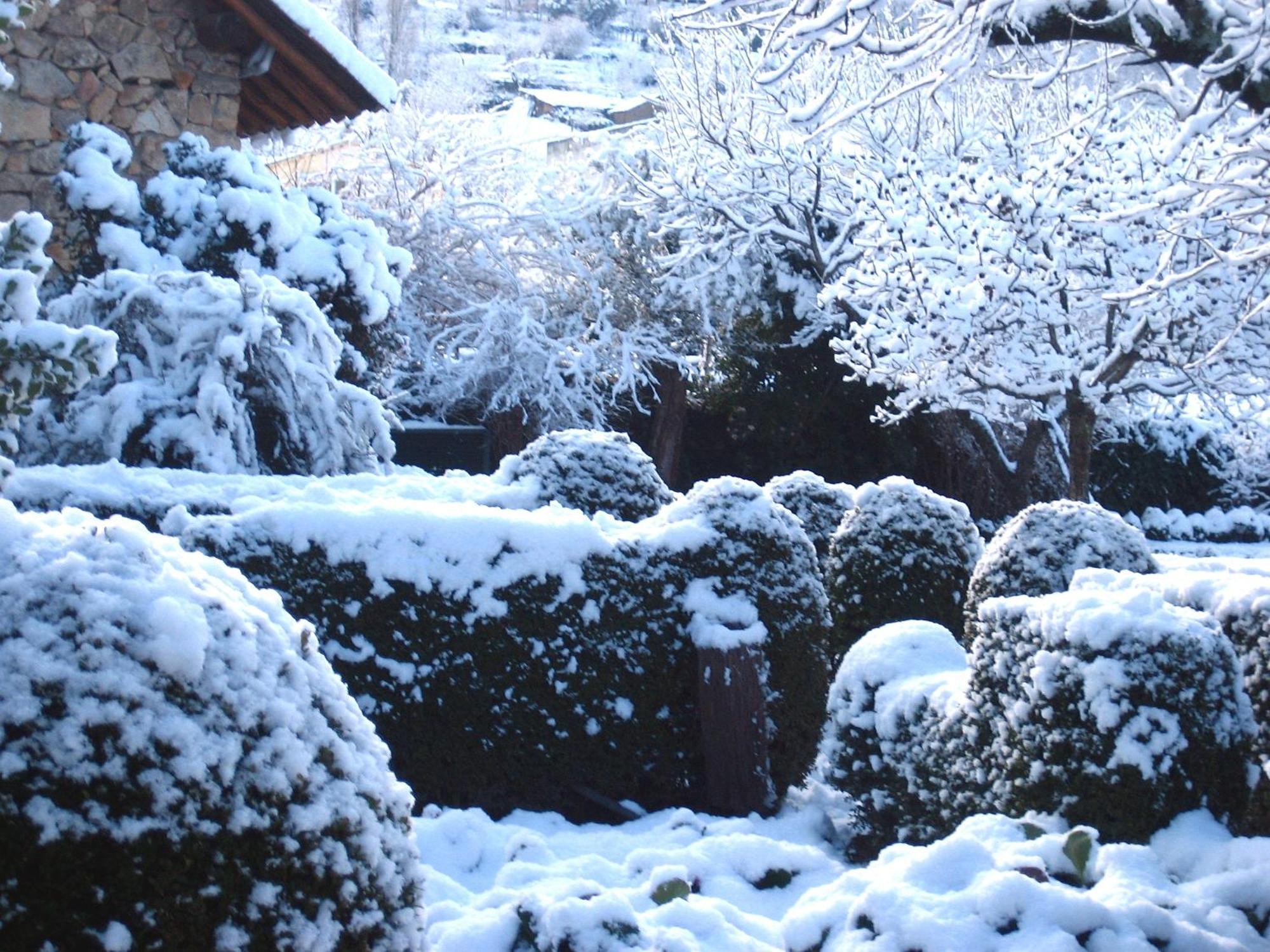 El Jardin Del Convento, Casa Rural Hervás Exteriör bild