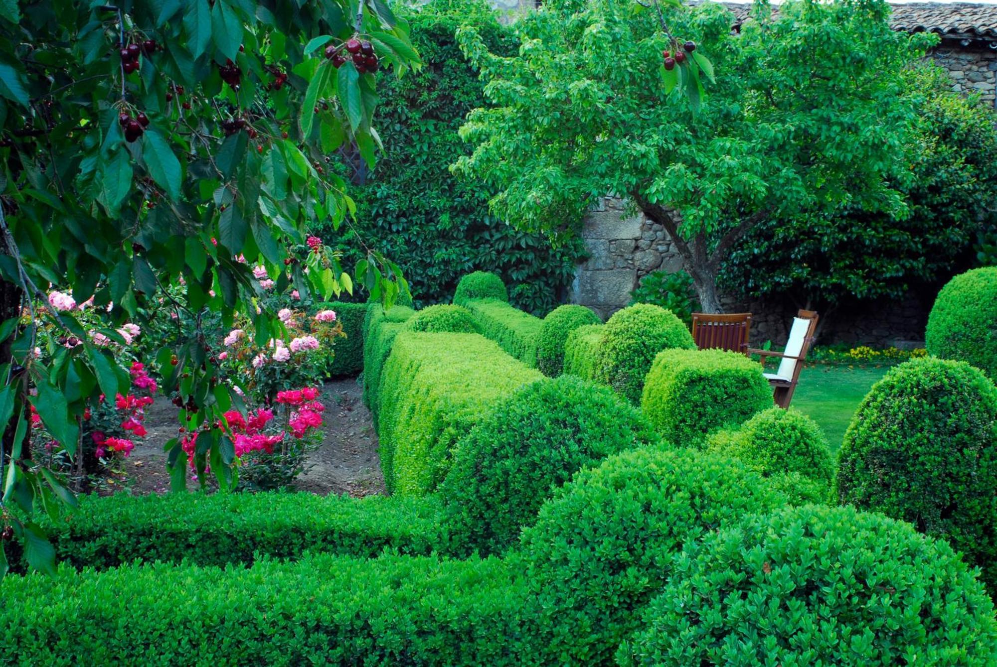 El Jardin Del Convento, Casa Rural Hervás Exteriör bild